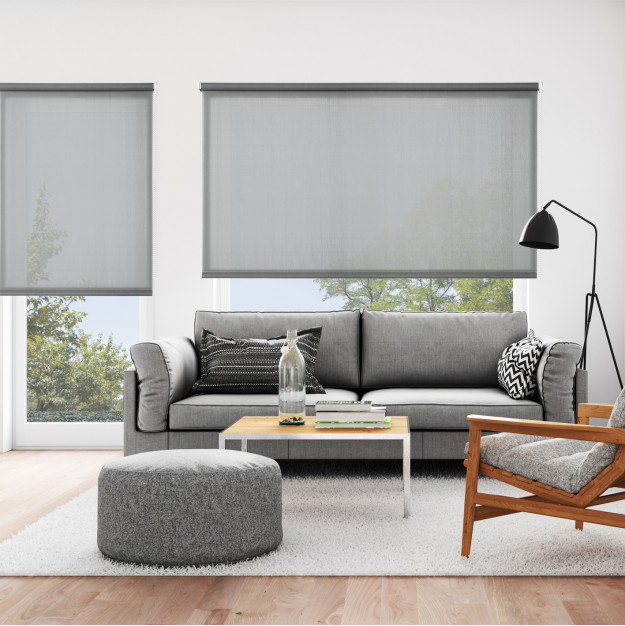 #color_Gris